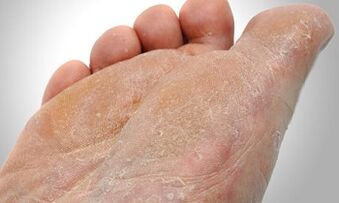 Transmisní cesty nohou